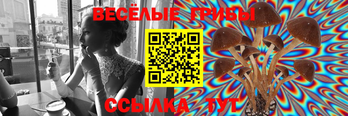 наркотики  Псилоцибиновые грибы ЛСД  Вход с VPN  Уссурийск  Галлюциногенные грибы MAGIC MUSHROOMS 